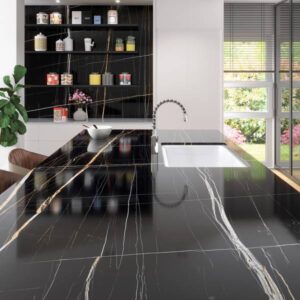 Maximus Black Beauty